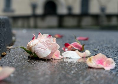 Gewinnen und Verlieren
