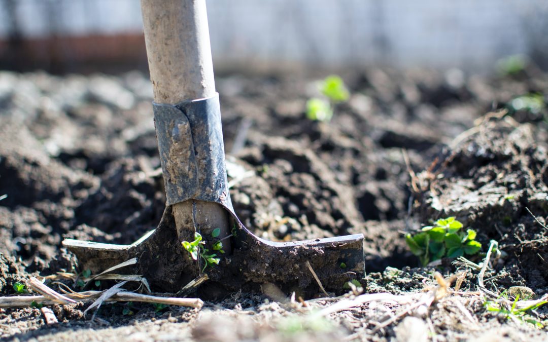 Was Stoiker aus Gartenarbeit lernen können