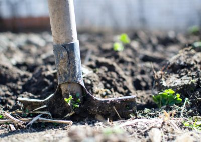 Was Stoiker aus Gartenarbeit lernen können